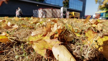 Синоптик Цыганков рассказал о погоде в Москве в ближайшие несколько дней