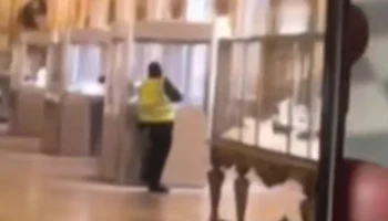 Появилось видео скандального ограбления в Лувре