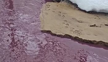 Прокуратура Москвы проверит загрязнение реки Сетуни в районе улицы Верейской Прокуратура Москвы проверит загрязнение реки Сетуни в районе улицы Верейской