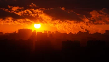 Экономия при добросовестной аренде: город отменил предпринимателям обеспечительные платежи