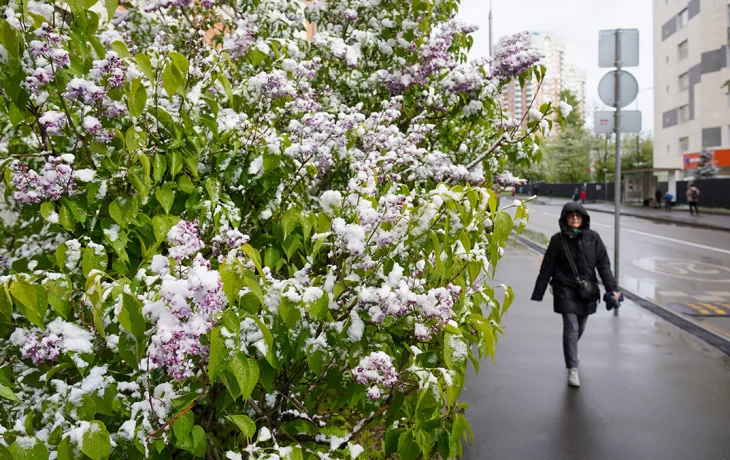 Синоптики спрогнозировали в Москве до 20 градусов тепла и небольшой дождь 16 мая Синоптики спрогнозировали в Москве до 20 градусов тепла и небольшой дождь 16 мая
