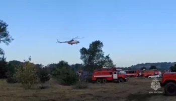 Площадь пожара в лесничестве в Ростовской области достигла 117 га
