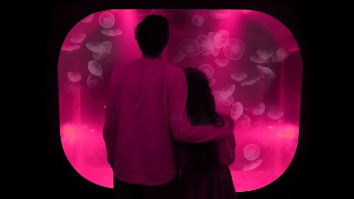 Футуристическая зона с медузами заработает в "Москвариуме" 14 февраля Футуристическая зона с медузами заработает в "Москвариуме" 14 февраля