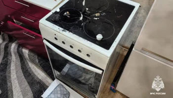 МЧС: Причиной взрыва в доме в Новосибирске стали баллончик дихлофоса и собака