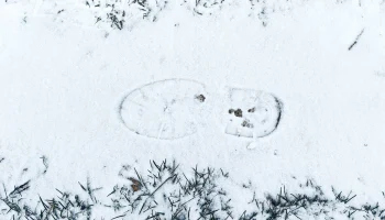 Синоптик Цыганков рассказал, когда Москву накроет снегом Синоптик Цыганков рассказал, когда Москву накроет снегом