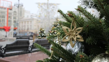 Центральной площадкой проекта «Зима в Москве» станет Парк Горького