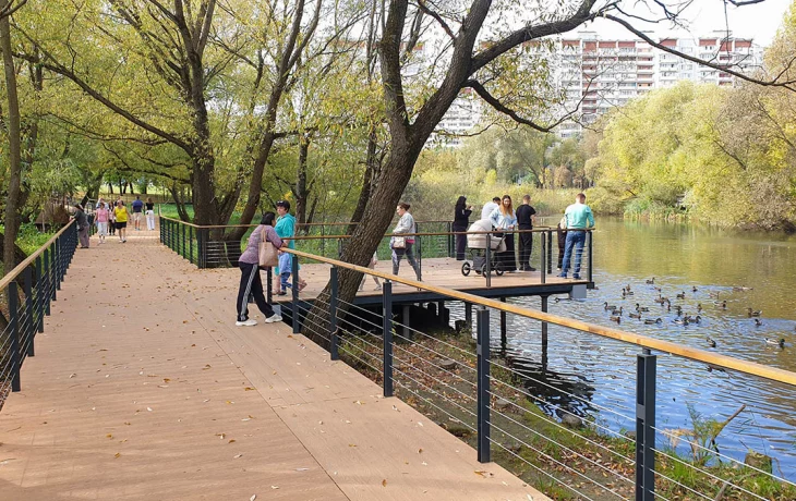 Директор парка «Яуза» Сапронов провел встречу с учениками театра «Тодес» Директор парка «Яуза» Сапронов провел встречу с учениками театра «Тодес»