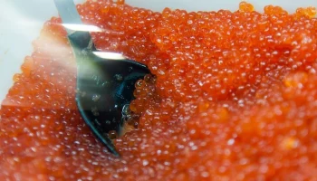 Неизвестные украли 1,5 тонны красной икры с завода на Камчатке