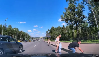 Утиное семейство спасли на Рублевском шоссе в Москве