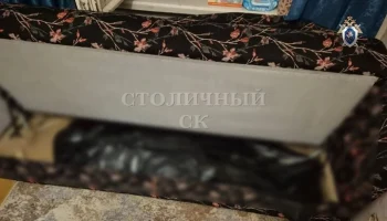 Полиция задержала соучастника убийства женщины на юго-востоке Москвы