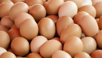 Цены на яйца в России оказались самыми низкими в мире