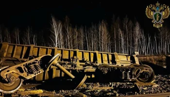 Резкое торможение стало причиной схода вагонов в Хабаровском крае