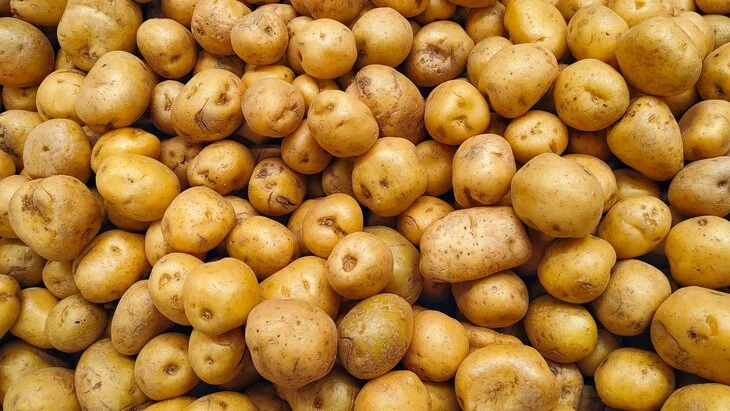 Россия вошла в пятерку крупнейших производителей картофеля в мире Россия вошла в пятерку крупнейших производителей картофеля в мире