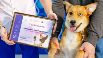 Стотысячного посетителя суперсервиса &laquo;Мой питомец&raquo; наградили в столице
