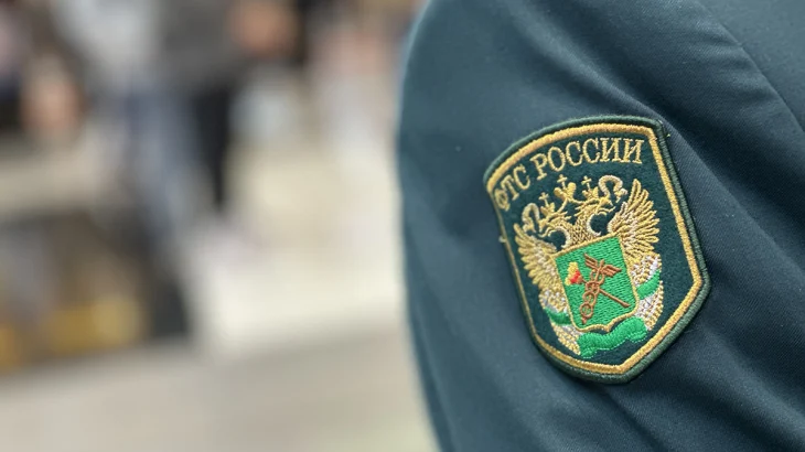 Российские таможенники задержали партию кокаина на 600 миллионов рублей Российские таможенники задержали партию кокаина на 600 миллионов рублей