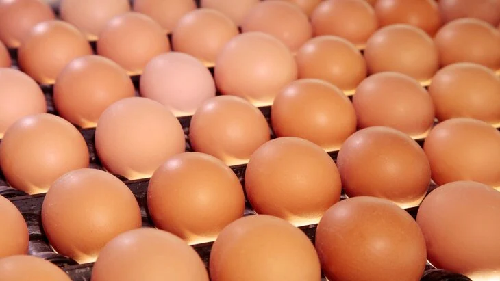 Эксперт Анфиногенов: приостановка поставок яиц "Волжанин" не вызовет сильного роста цен Эксперт Анфиногенов: приостановка поставок яиц "Волжанин" не вызовет сильного роста цен