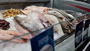 На рыбном рынке "Москва – на волне" начинается сезон корюшки