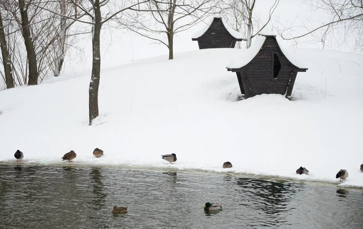 Синоптик Вильфанд: Приход весеннего тепла затянется из-за высоких сугробов Синоптик Вильфанд: Приход весеннего тепла затянется из-за высоких сугробов