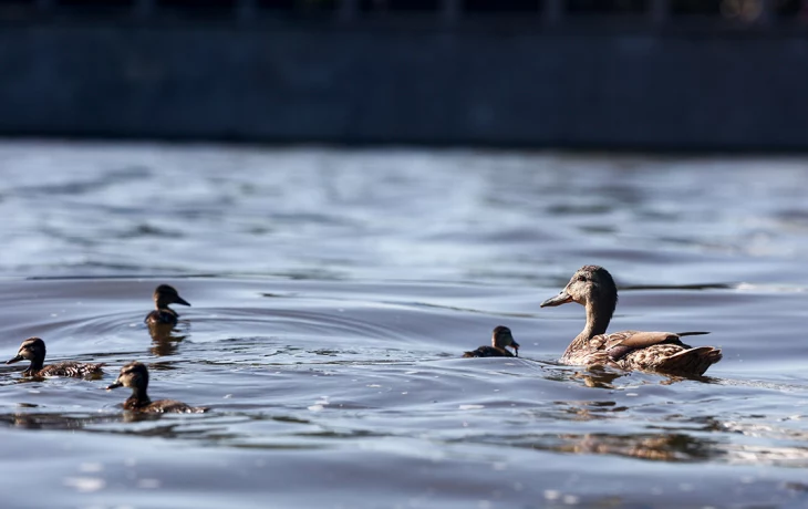 Дожди и жаркие ночи: москвичам рассказали о погоде в столице на неделе Дожди и жаркие ночи: москвичам рассказали о погоде в столице на неделе