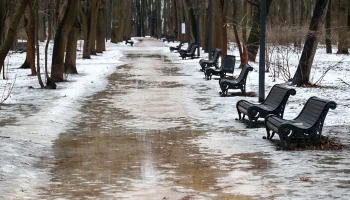 Пасмурно и тепло: москвичам рассказали о погоде в столице 30 января