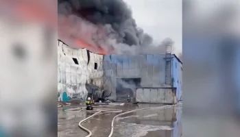 Пожар в ангаре в Ленинградской области потушили