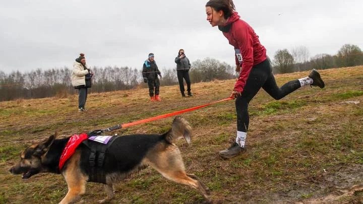 Кросс «Быстрый пес» прошел 11 апреля в Битцевском лесу