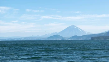 Землетрясение магнитудой 5,6 произошло на Камчатке