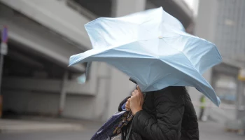 Москвичам рекомендовали не выходить на улицу из-за сильного ветра