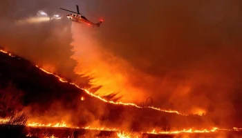 WP: власти США предложили уволиться тушившим леса в Лос-Анджелесе пожарным