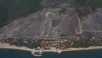 Лесной пожар под Новороссийском локализовали на площади 62 гектара