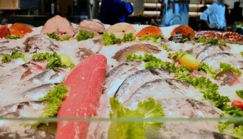 ФАС проведет анализ цен на рыбную продукцию в России