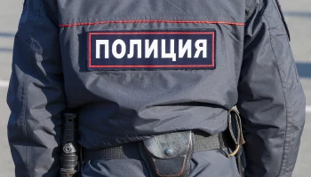 Очевидица заявила, что во время нападения медведя на Алтае сильно залаяли собаки
