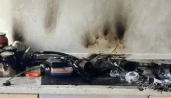 В МЧС обвинили кота во взрыве газового баллона в многоэтажке в Одинцове