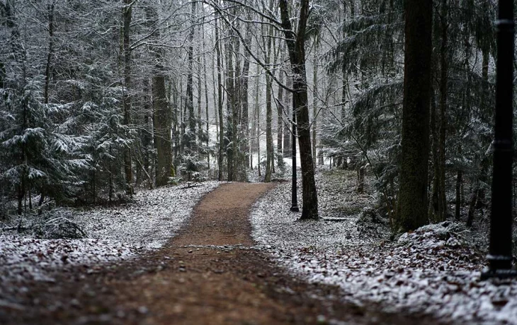 Синоптик Ильин предупредил москвичей о морозах и снеге на следующей неделе Синоптик Ильин предупредил москвичей о морозах и снеге на следующей неделе