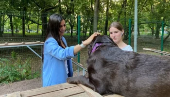 Екатерина Раззакова провела инспекцию двух площадок для выгула собак в Черемушках