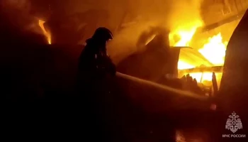 Пожарные потушили возгорание на пилораме в Новгородской области