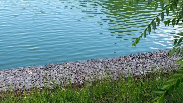 Реабилитация Малого Чертановского пруда началась на юге Москвы Реабилитация Малого Чертановского пруда началась на юге Москвы