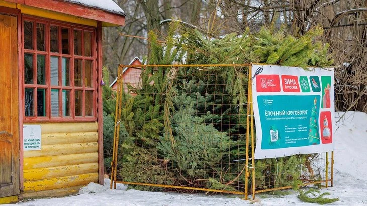 Москвичи могут сдать новогодние ели в специальные пункты до 1 марта Москвичи могут сдать новогодние ели в специальные пункты до 1 марта