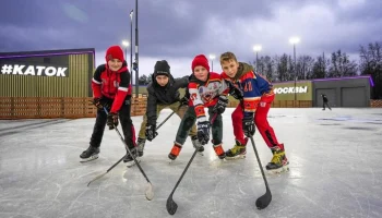 Собянин: новые детские сады и крытый каток появятся в Бирюлеве Восточном Собянин: новые детские сады и крытый каток появятся в Бирюлеве Восточном