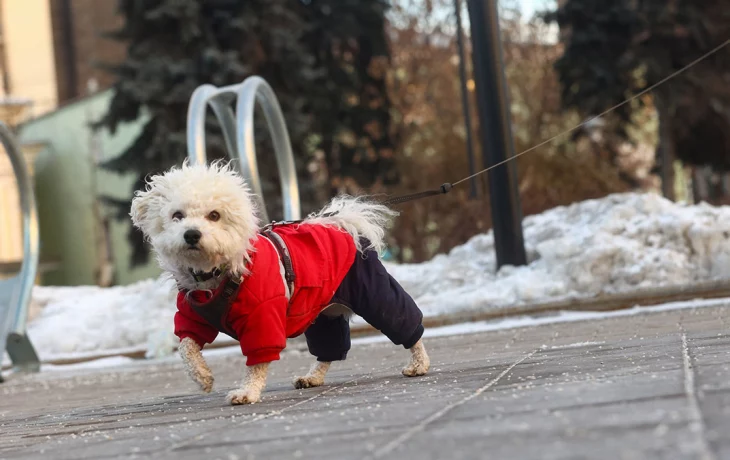 В Гидрометцентре назвали сроки возвращения в Москву комфортной погоды В Гидрометцентре назвали сроки возвращения в Москву комфортной погоды