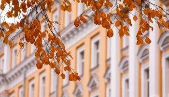 Москвичей предупредили о заморозках до минус 3 градусов ночью 5 октября