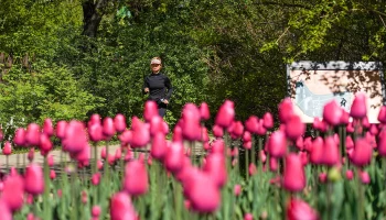 Понедельник стал самым теплым днем с начала года в Москве