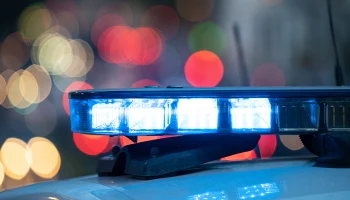 Родила двоих: пропавшую ребенком девушку нашли спустя девять лет в Петербурге