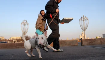 Март теплее обычного: какой будет погода в Москве на следующей неделе