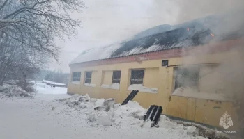 Пожар в подмосковной конюшне ликвидирован
