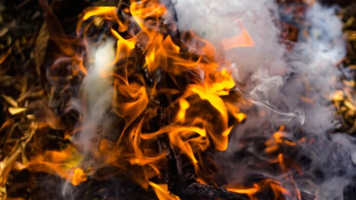 Около 19 человек погибли в результате лесных пожаров в Чили Около 19 человек погибли в результате лесных пожаров в Чили