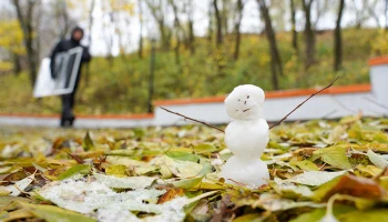 Синоптик Ильин рассказал, ждать ли москвичам снегопадов в середине ноября