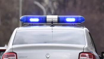 Сотрудники полиции нашли тело женщины в лесопарковой зоне на западе Москвы