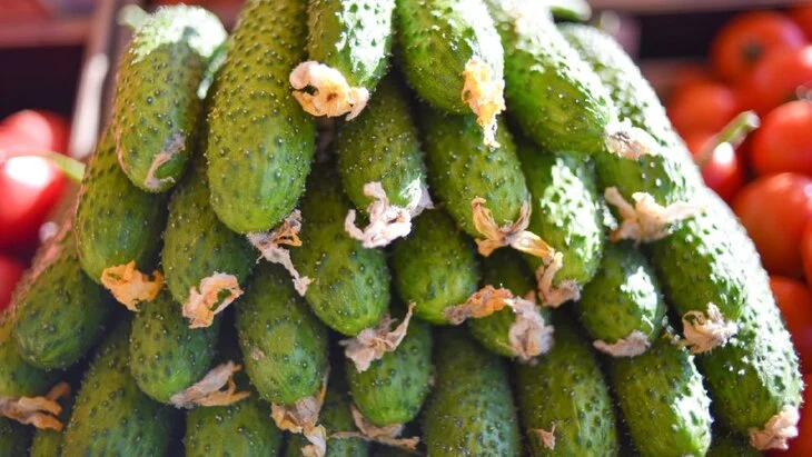 Депутат Миронов отметил, что огурцы стоят дороже тропических фруктов Депутат Миронов отметил, что огурцы стоят дороже тропических фруктов