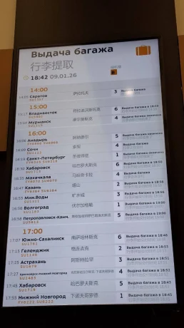 Заблокированные дороги и задержанные рейсы: последствия циклона «Фрэнсис» в Москве